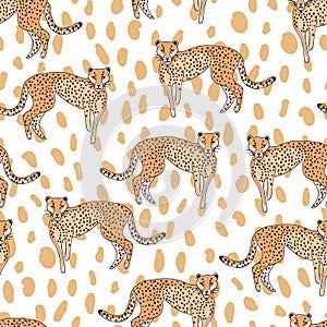 Seamless cheetah pattern on animal skin background