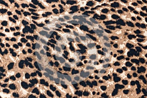 Seamless Cheetah Skin Pattern on Cloth