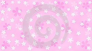Seamless Cherry Blossoms Pattern in Pink Background
