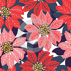 Seamless Christmas background with red and pink poinsettias. photo