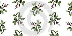 Seamless Christmas and New Year pattern featuring mistletoe sprigs with white berries and red ribbon on a festive white background photo