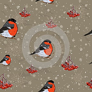 Seamless Christmas pattern with bullfinch ink style.