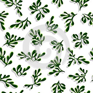 Seamless Christmas pattern with spruce branches, pine twigs, christmas tree isolated on white background