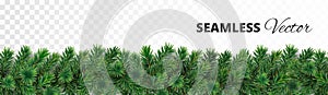 Seamless Christmas tree garland. Pine tree branches decoration