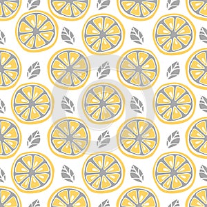 Seamless citrus pattern. Fruit Pattern Hand Draw.