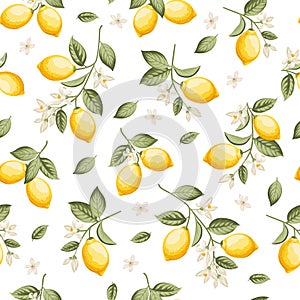 Seamless citrus pattern with lemons. Vector illustration.