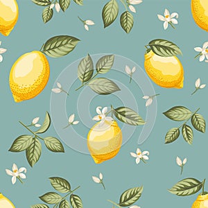 Seamless citrus pattern with lemons. Vector illustration.