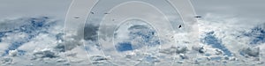 seamless cloudy blue skydome 360 hdri panorama view with flock of birds in awesome clouds with zenith for use in 3d graphics or