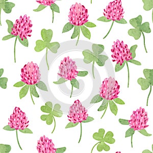 Seamless clover flowers pattern. Vector watercolor floral background
