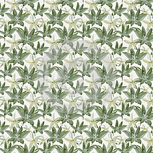 Seamless colorful floral background pattern. Decorative backdrop for fabric, textile, wrapping paper, card, invitation, wallpaper.