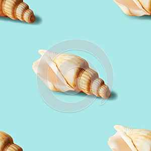 Seamless colorful pattern of shells on pastel blue color background. From