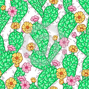 Seamless colorful pattern with succulents, cactuses and flowers on white background