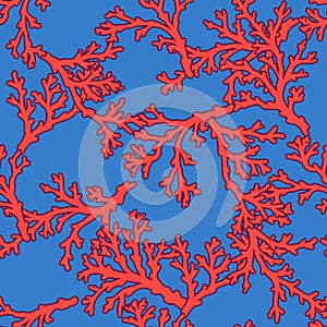 Seamless colourful sea coral pattern in elegant