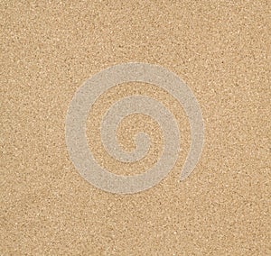 seamless cork texture