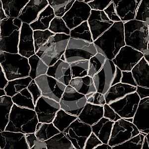 Seamless cracked soil pattern