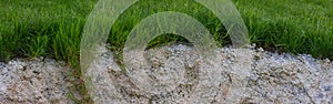 Seamless cross section of grass and cement