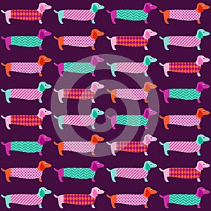 Seamless dachshund dog pattern