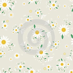 Seamless daisy floral pattern,Beautiful daisy floral, bloomy plant grass decor, illustration - Vector