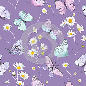 Seamless daisy flowers and butterfly vector background. Spring floral watercolor pattern