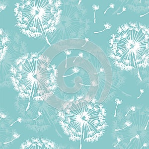 Seamless dandelion pattern, plant and seeds illustration