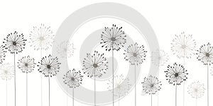 Seamless dandelion pattern, vector seamless background with hand drawn plants and seeds