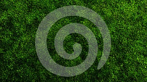 Seamless Dark Green Grass Texture Background Pattern 1