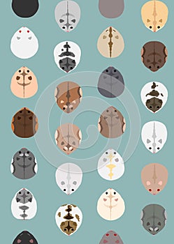 Seamless pattern of dwarf hamsters photo