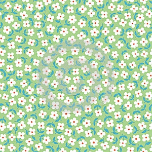 Seamless ditsy floral pattern in vector. Small white flowers on a green background