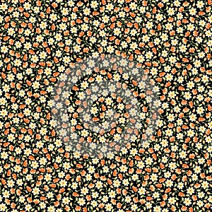 Seamless Ditsy Floral Pattern, Yellow Small Daisy Flower, Orange Small Flower Buds