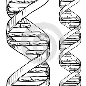 Sin costura dos veces espiral bosquejo 