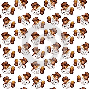 Seamless doggy watercolor pattern of puppy portraits of white with brown dog jack russell terrier heads on a white background for