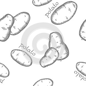 Seamless doodle pattern. potato. vector illustration