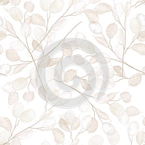 Seamless dry lunaria floral vector pattern. Watercolor winter wedding flower illustration background photo