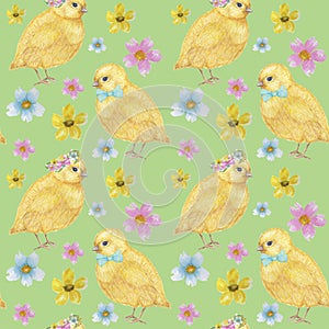 Seamless Easter pattern Watercolor hand drawn of yellow chiken, Spring flowers, willow, bow. Colorful bird, chikens baby