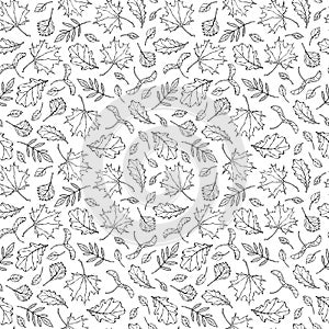 Seamless Endless Pattern of Autumn Leaves. Maple Rowan, Oak, Hawthorn, Birch. Red, Orange and Yellow. Realistic Hand Drawn High Qu photo