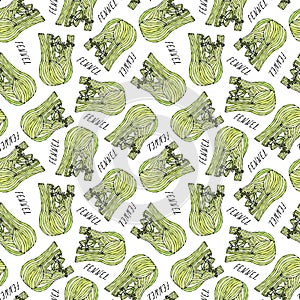 Seamless Endless Pattern of Green Fennel Balb. Vegetable Collection. EPS10 Vector. Hand Drawn Doodle Style Realistic