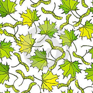 Seamless Endless Pattern of Green Maple Leaves and Seeds. Autumn or Fall Harvest Collection. Realistic Hand Drawn High Quality Vec photo