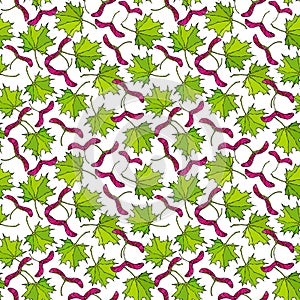 Seamless Endless Pattern of Green and Red Maple Leaves and Seeds. Autumn or Fall Harvest Collection. Realistic Hand Drawn High Qua photo