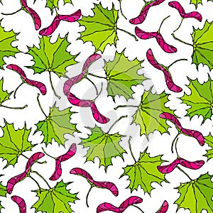 Seamless Endless Pattern of Green and Red Maple Leaves and Seeds. Autumn or Fall Harvest Collection. Realistic Hand Drawn High Qua photo