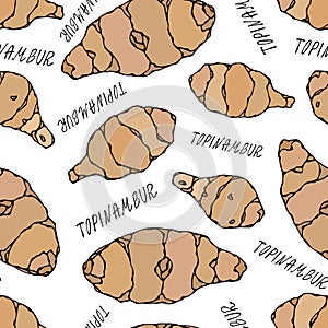 Seamless Endless Pattern of Jerusalem Artichoke or Topinambur. Vegetable Collection. EPS10 Vector. Hand Drawn Doodle