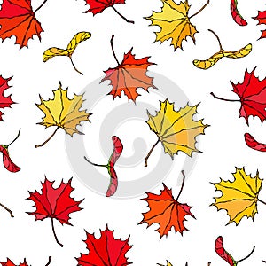 Seamless Endless Pattern of Maple Leaves and Seeds Red,, Orange and Yellow. Realistic Hand Drawn High Quality Vector Illustration. photo