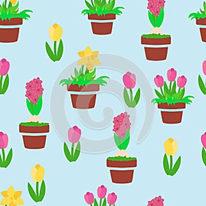 Seamless endless pattern of pink and yellow tulips, daffodils and hyacinths in ceramic pots on a blue background.