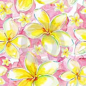 Seamless exotic pattern with flowers plumeria