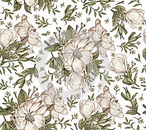 Seamless fabric pattern isolated flowers Vintage background Dogrose Rosehip Wallpaper Drawing engraving Vector Illustration retro