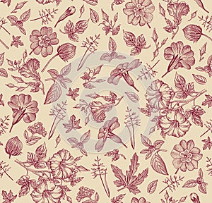 Seamless fabric pattern isolated flowers Vintage background primula petunia Wallpaper Drawing engraving Vector Illustration retro