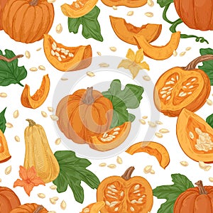 Seamless fall pattern with pumpkins, squashes, leaves, seeds on white background. Repeating texture of autumn harvest