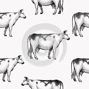 Seamless farm vector pattern. Graphical cow silhouette, hand drawn vintage illustrations. Retro farm animals background.
