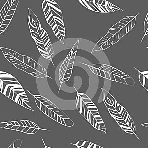 seamless feather pattern