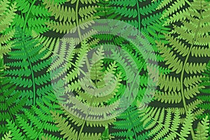 Seamless fern patterrn