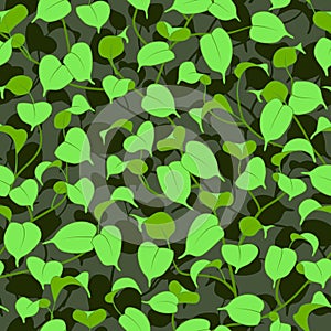 Seamless ficus green leaves background